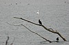 P1080878.jpg