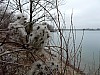 P1080886.jpg