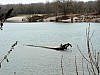 P1080891.jpg