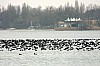 P1080895.jpg