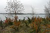 P1080899.jpg