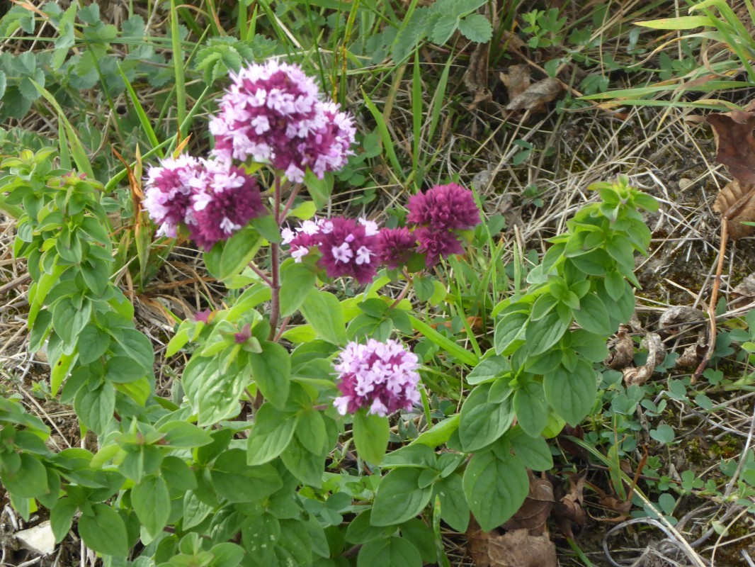 MontLuisandre_2014-10-05_12-25-43-N.jpg