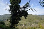 MontLuisandre_2014-10-05_10-24-09-G.jpg MontLuisandre_2014-10-05_10-24-09-G.jpg