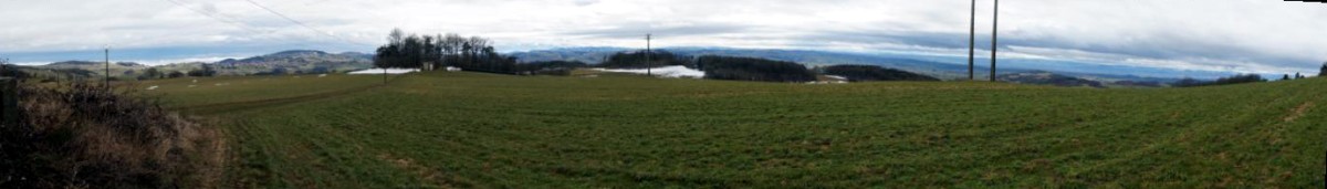 DSC00461.jpg