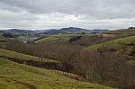 DSC00448.jpg