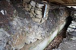 DSC00451.jpg
