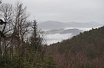 DSC00453.jpg
