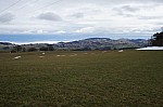 DSC00457.jpg