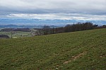 DSC00459.jpg
