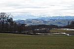 DSC00460.jpg