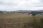 DSC00467.jpg