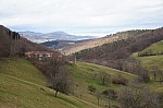 DSC00469.jpg
