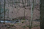 DSC00471.jpg