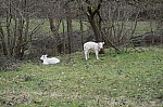 DSC00472.jpg
