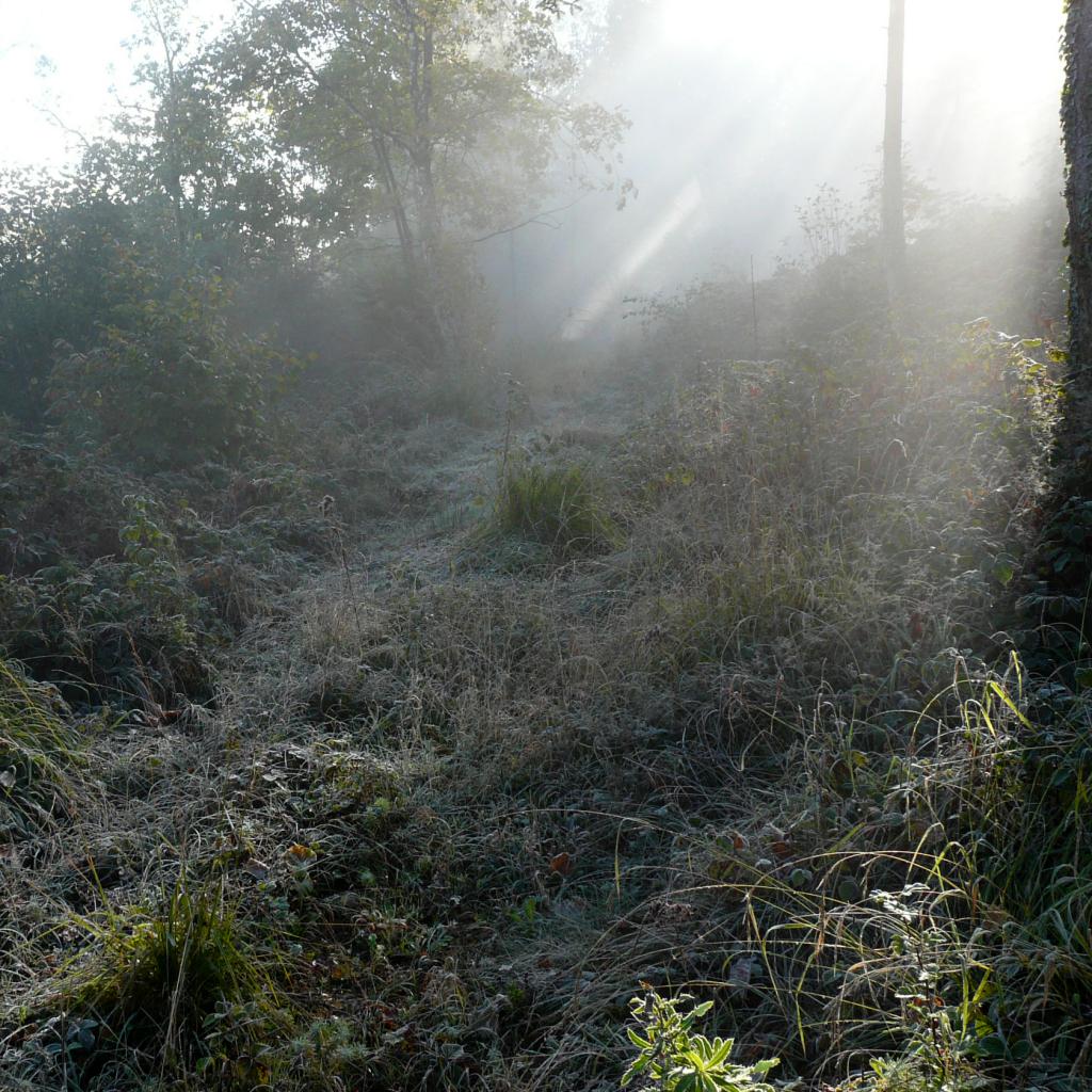 ain-10-40-10.jpg