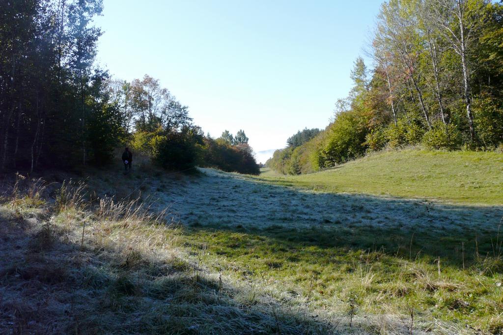 ain-11-12-05.jpg