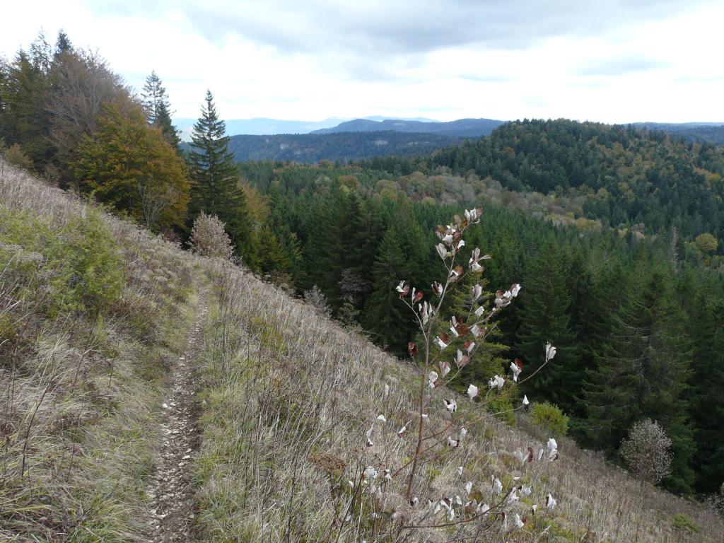 ain-14-56-16.jpg