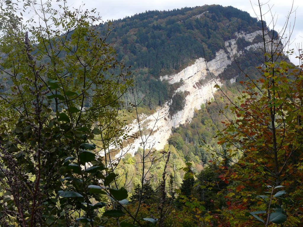 ain-15-51-17.jpg