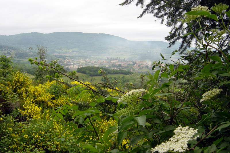 DSC08150