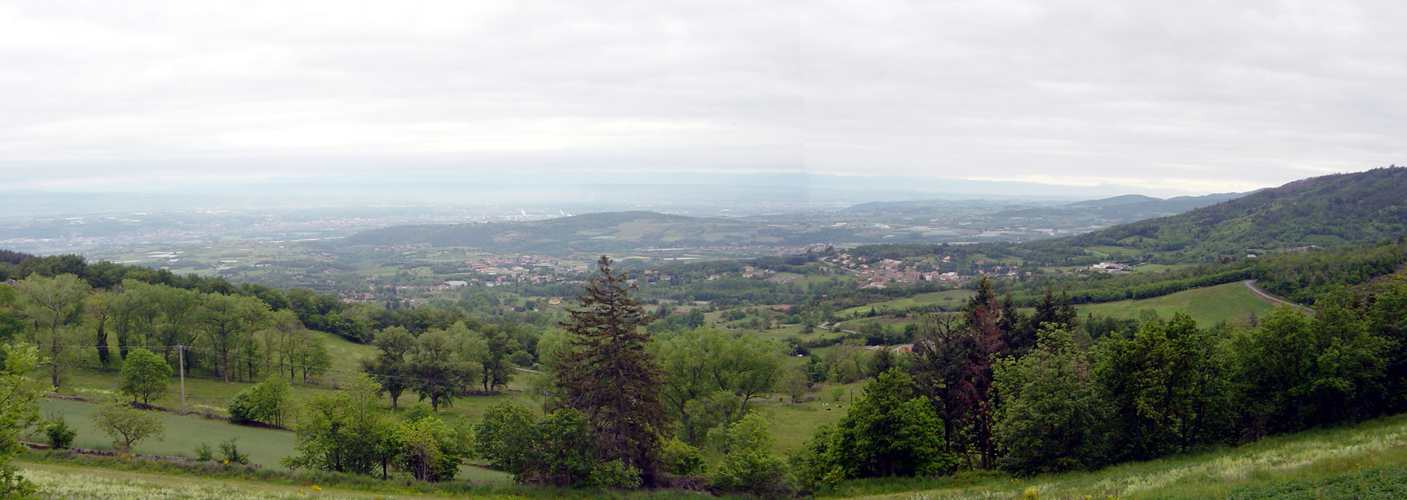 DSC08154