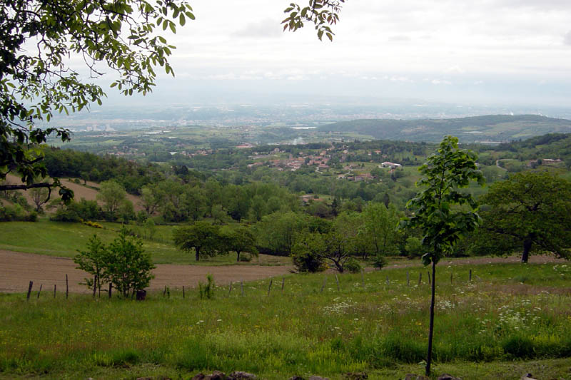 DSC08164