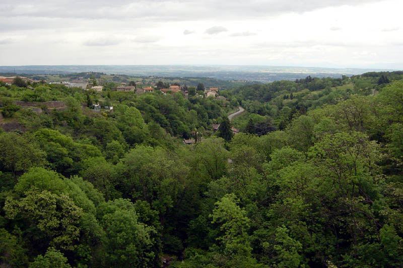 DSC08190