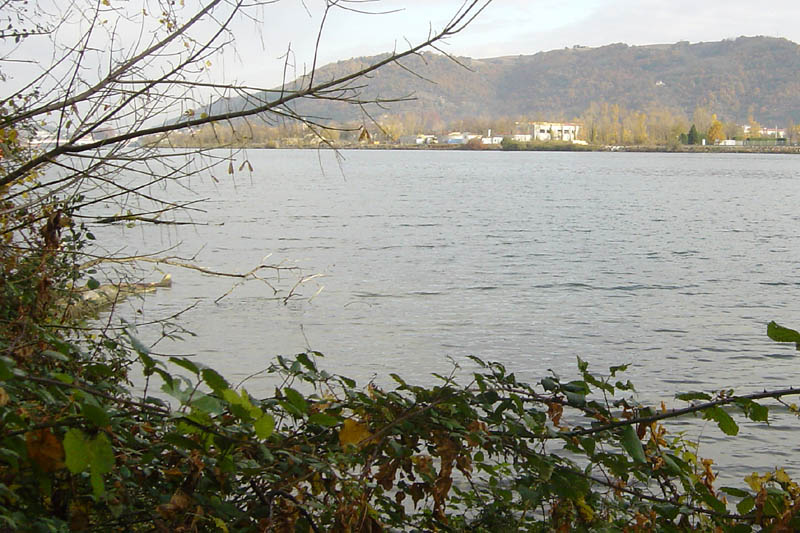 DSC09094