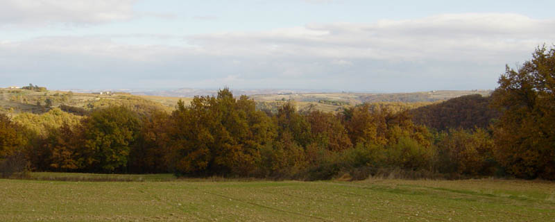 DSC09124