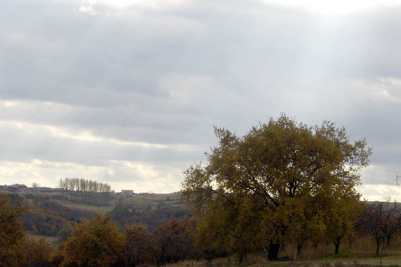 DSC09127