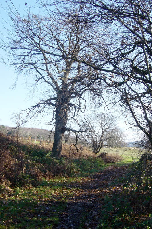 DSC07684