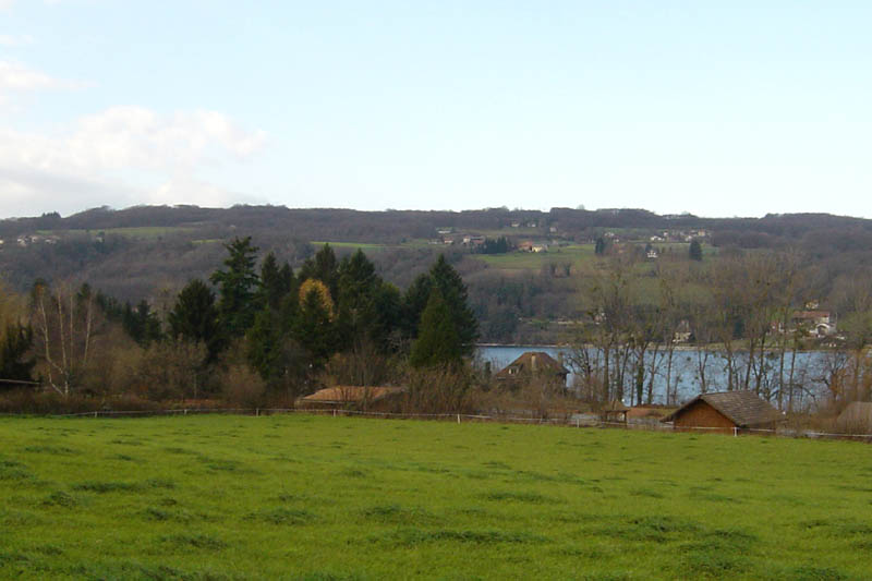 DSC07689