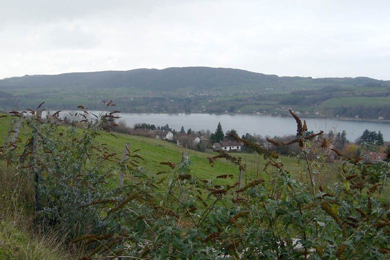 DSC07700