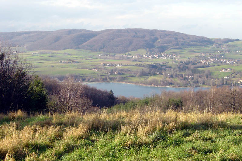 DSC07706