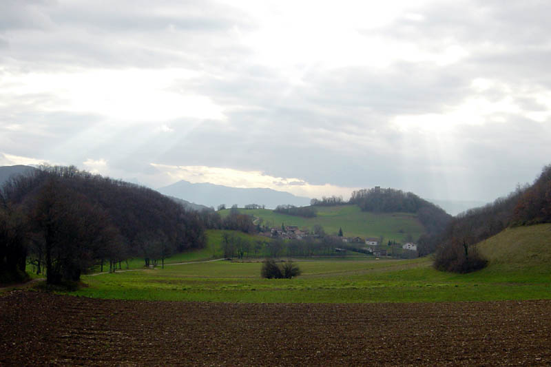 DSC07710