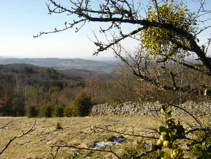 DSC09363