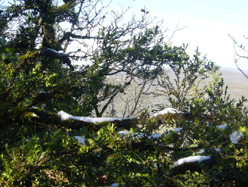 DSC09367