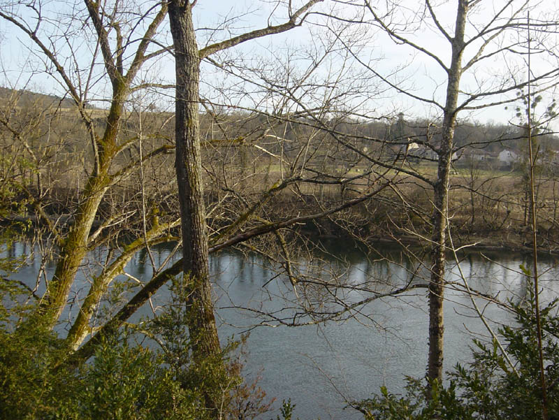 DSC09394