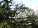 DSC09367