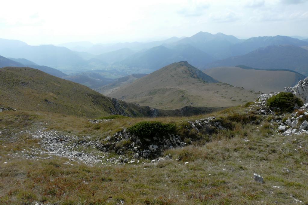 P1050619.jpg