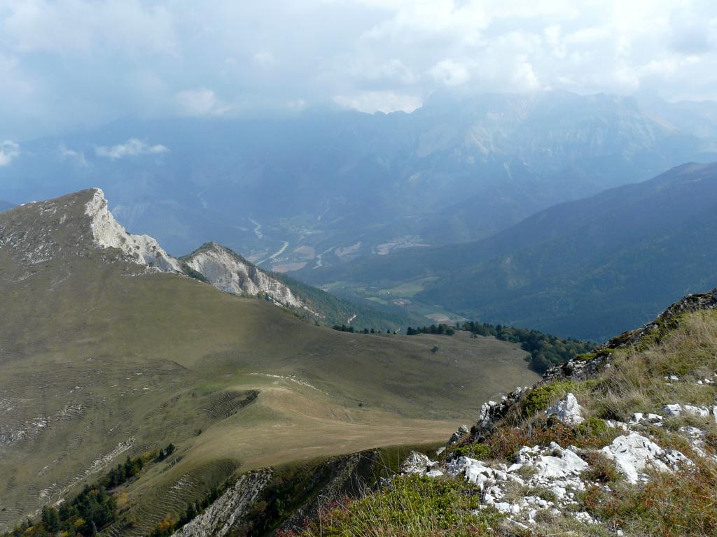 P1050620.jpg