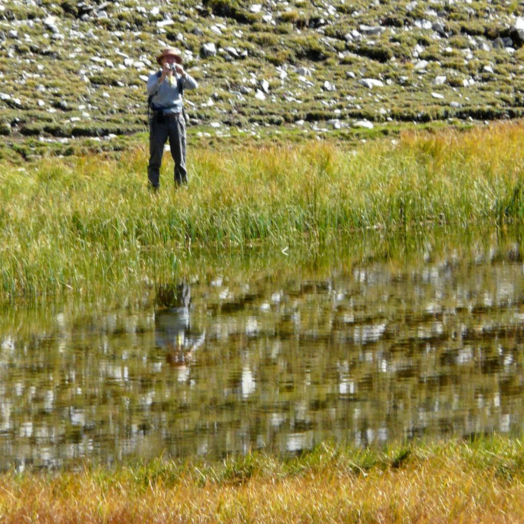 P1050676.jpg