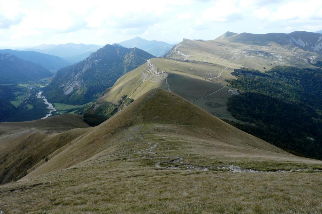 P1050688.jpg