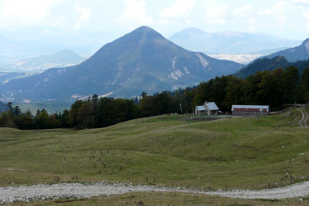 P1050698.jpg
