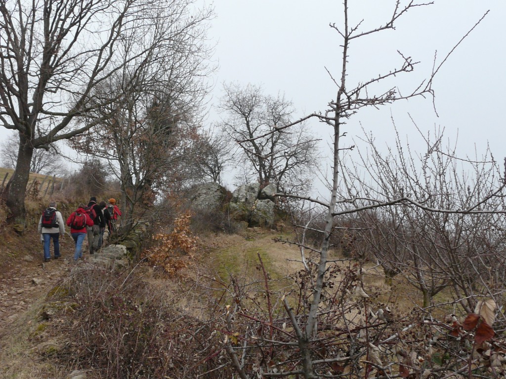 Rontalon, 01-02-09, 10-38.jpg