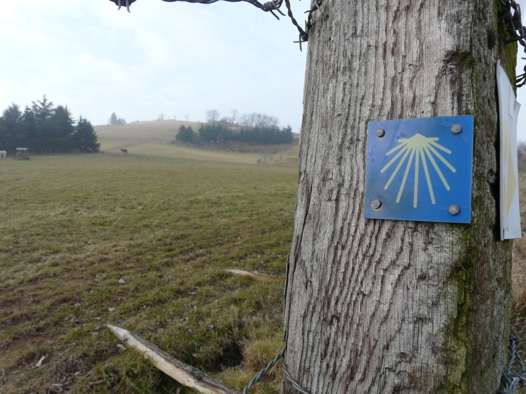 Rontalon, 01-02-09, 11-05.jpg