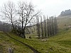 Rontalon, 01-02-09, 12-31.jpg