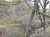 Rontalon, 01-02-09, 15-48.jpg