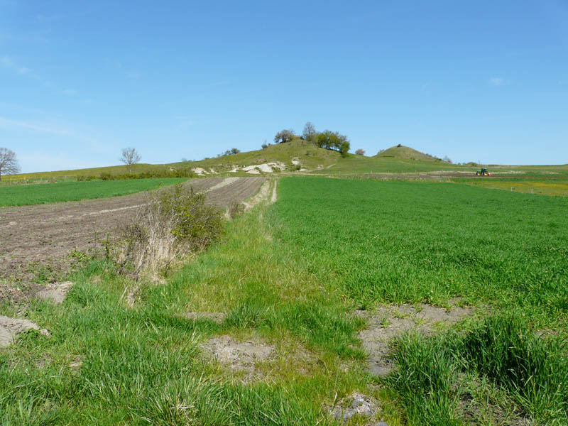 P1000796