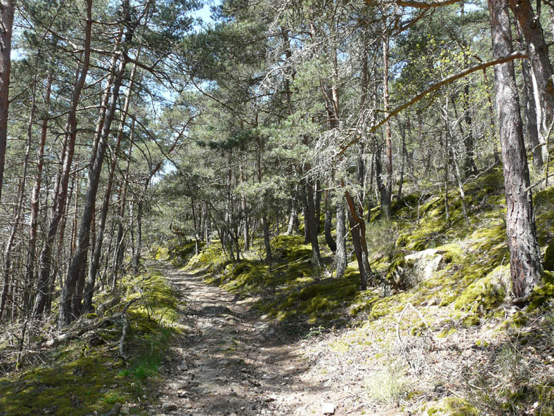P1000812