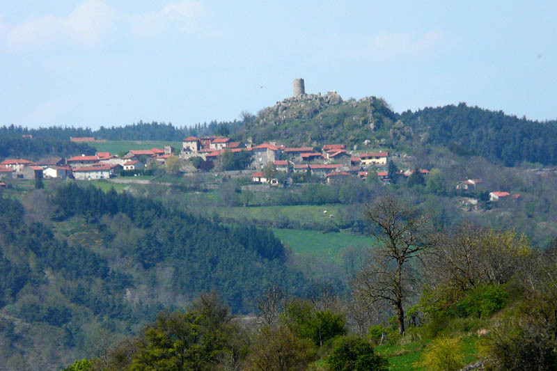 P1000837